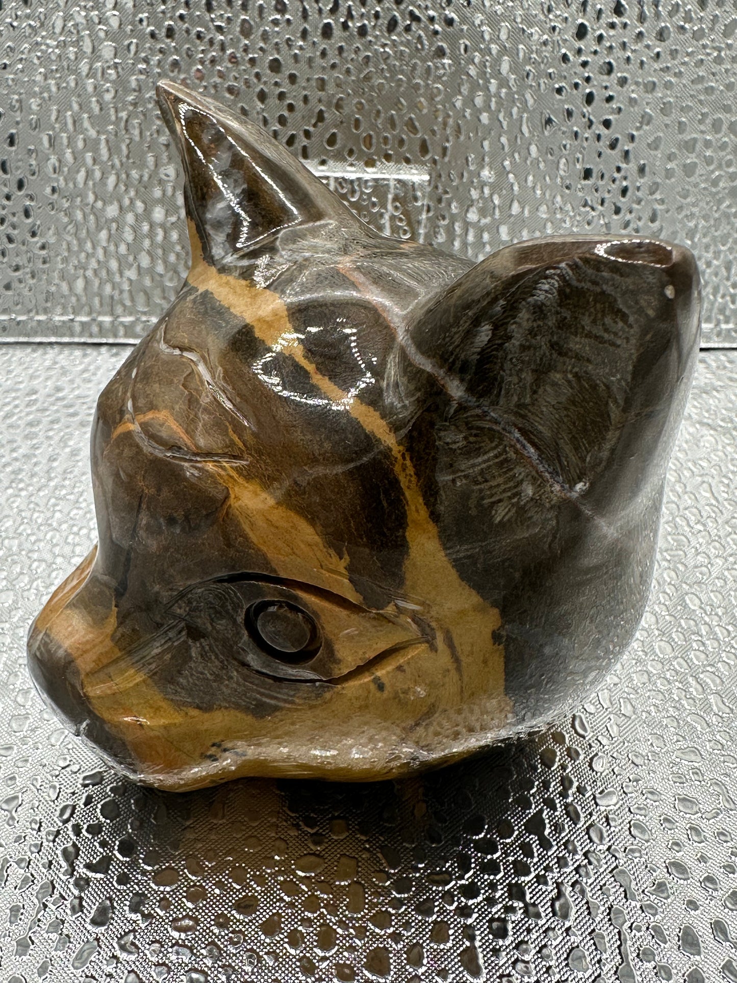Jasper cat head