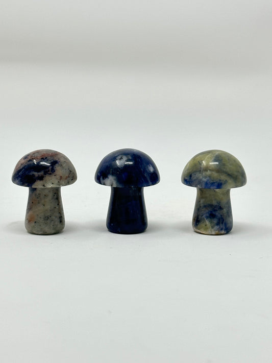 Blue Sodalite Mushroom Set