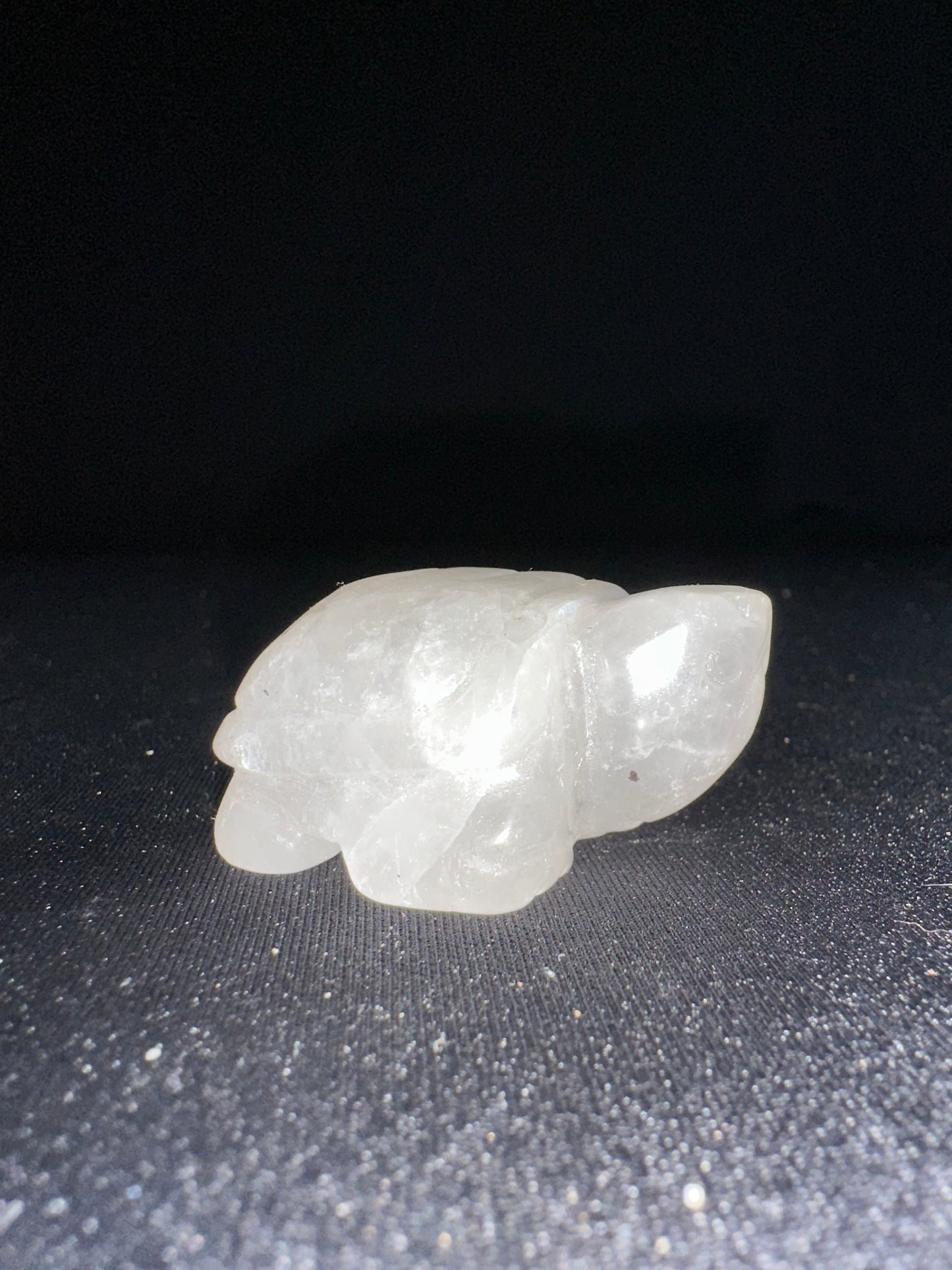 Clear Quartz Tortoise