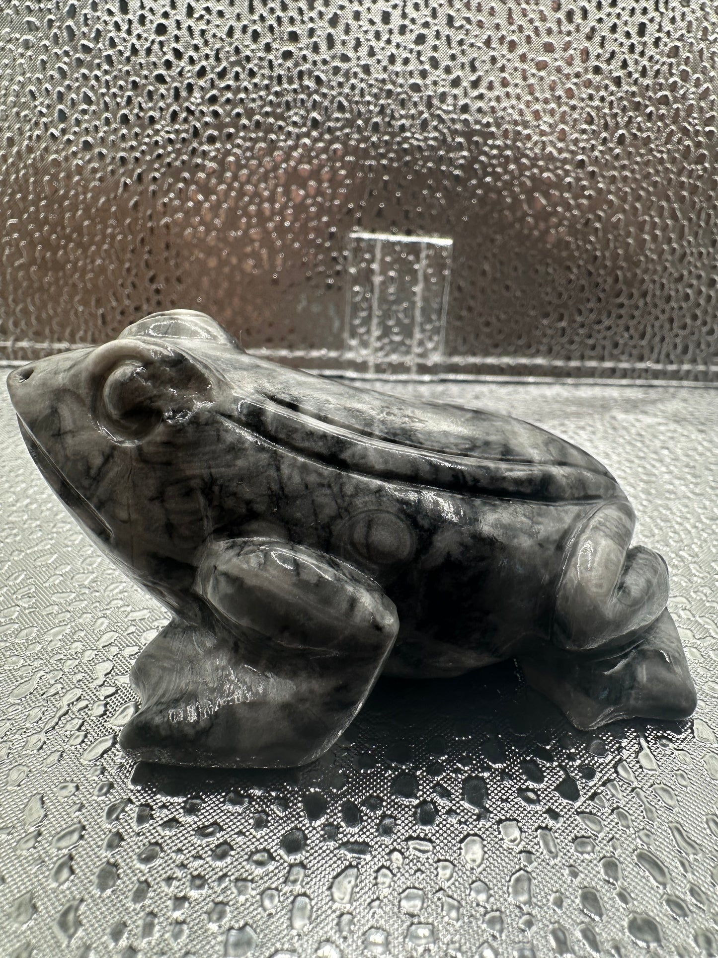 Thousand Eye Jasper Frog