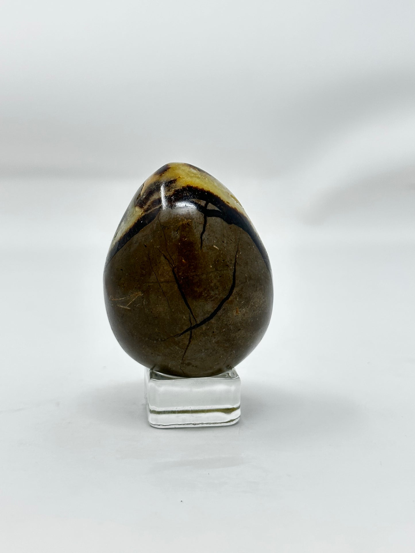 Septarian Egg