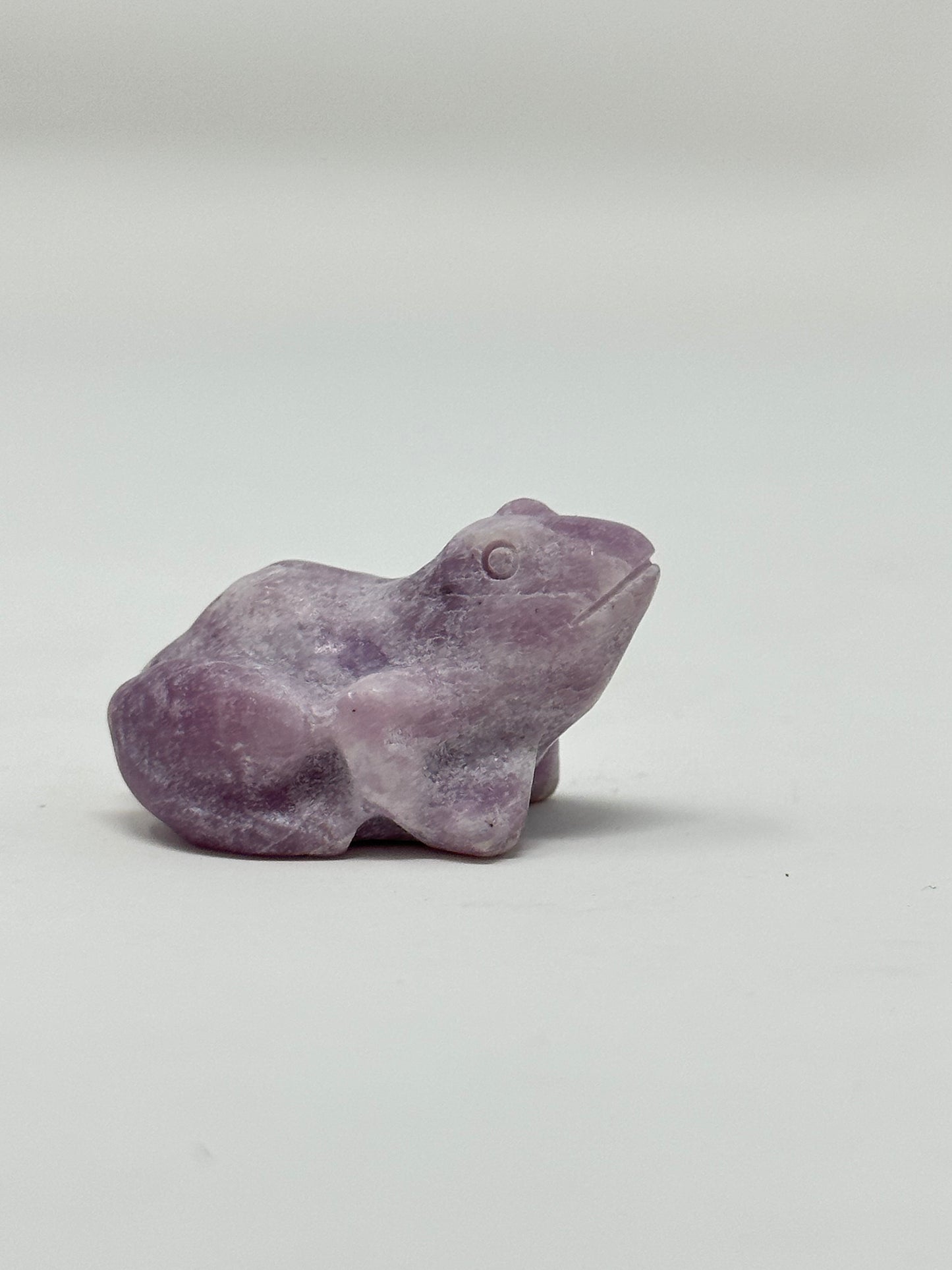 Amethyst Frog