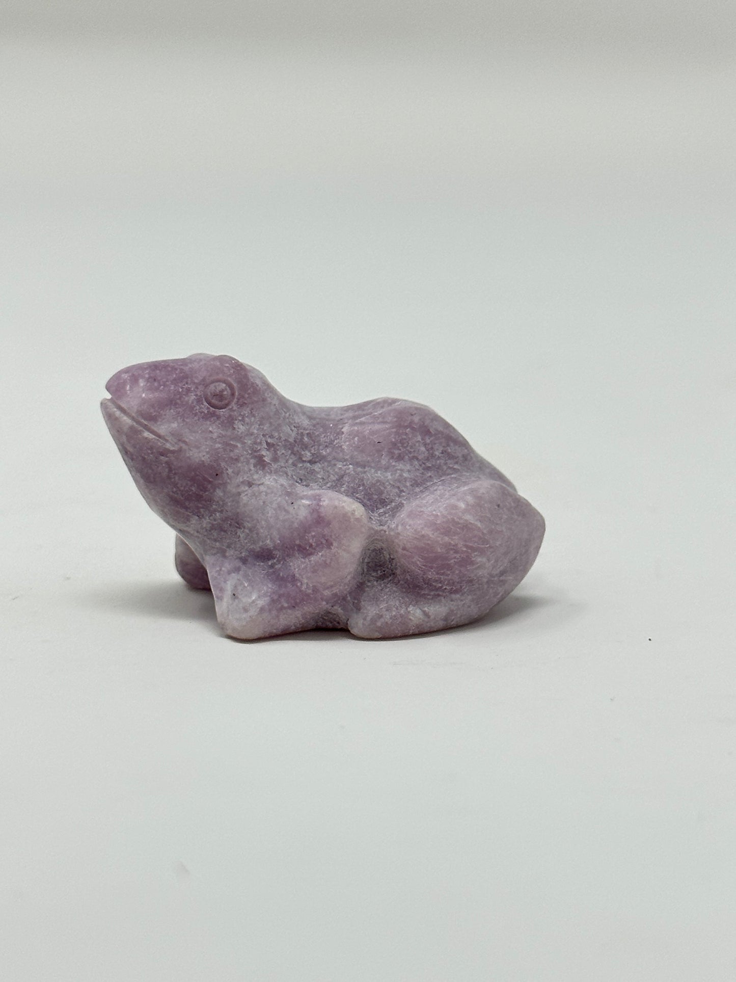 Amethyst Frog