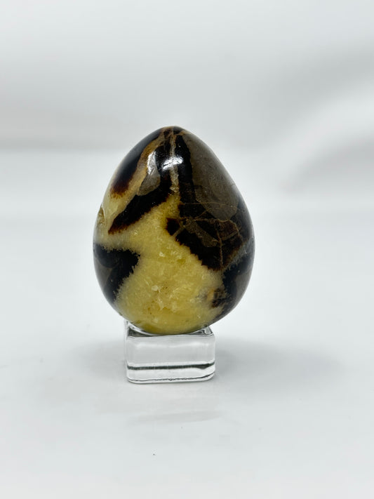 Septarian Egg