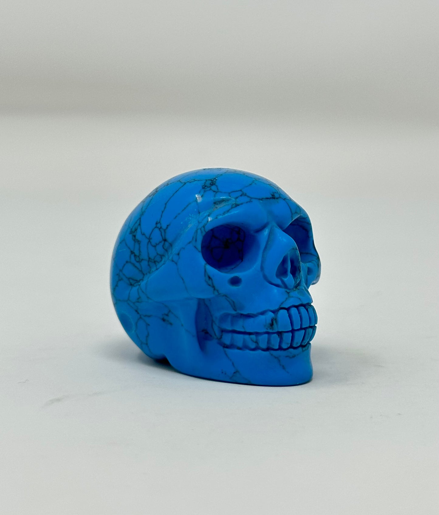 Blue Howlite Skull