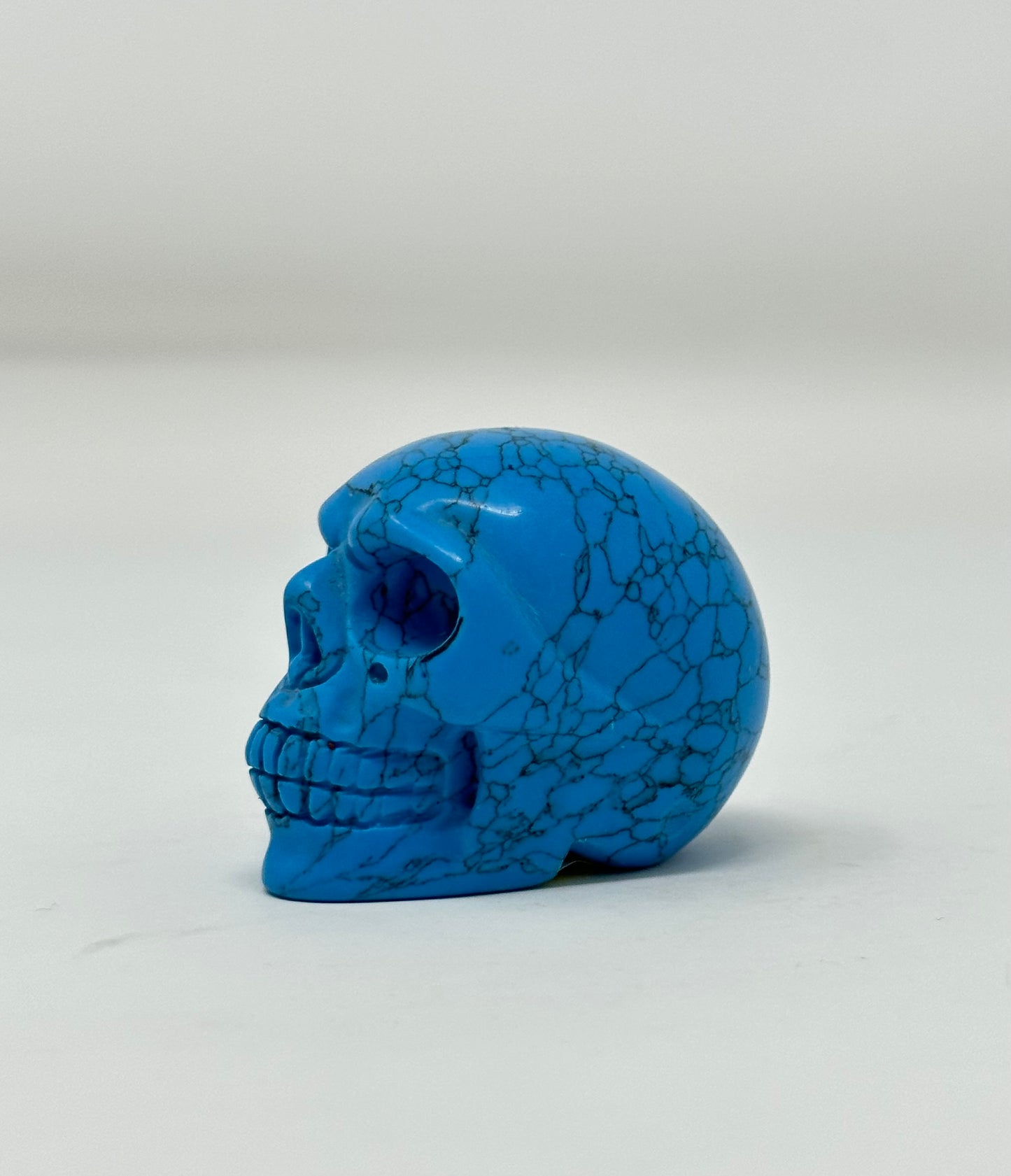 Blue Howlite Skull