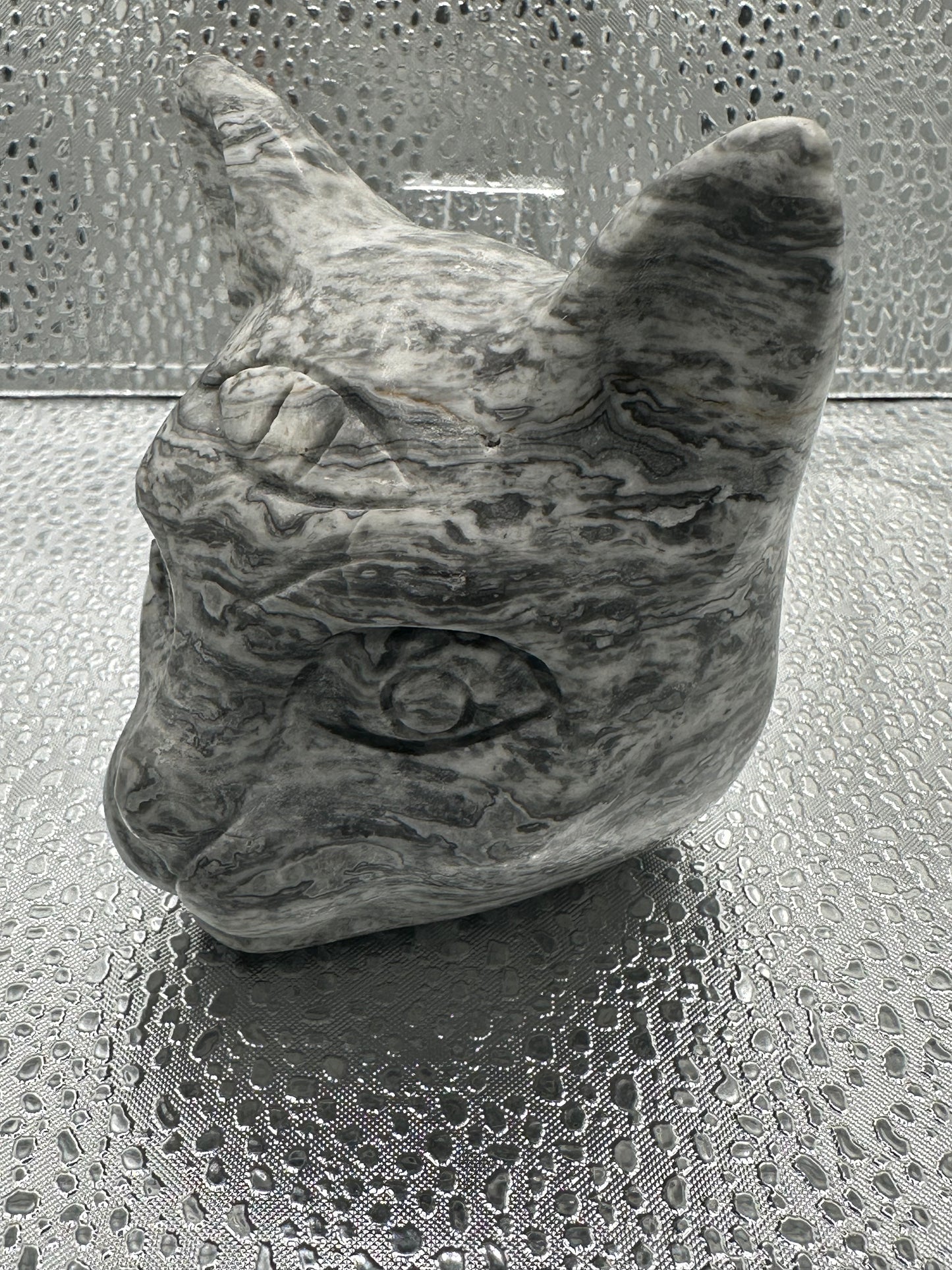 Picasso Jasper cat head