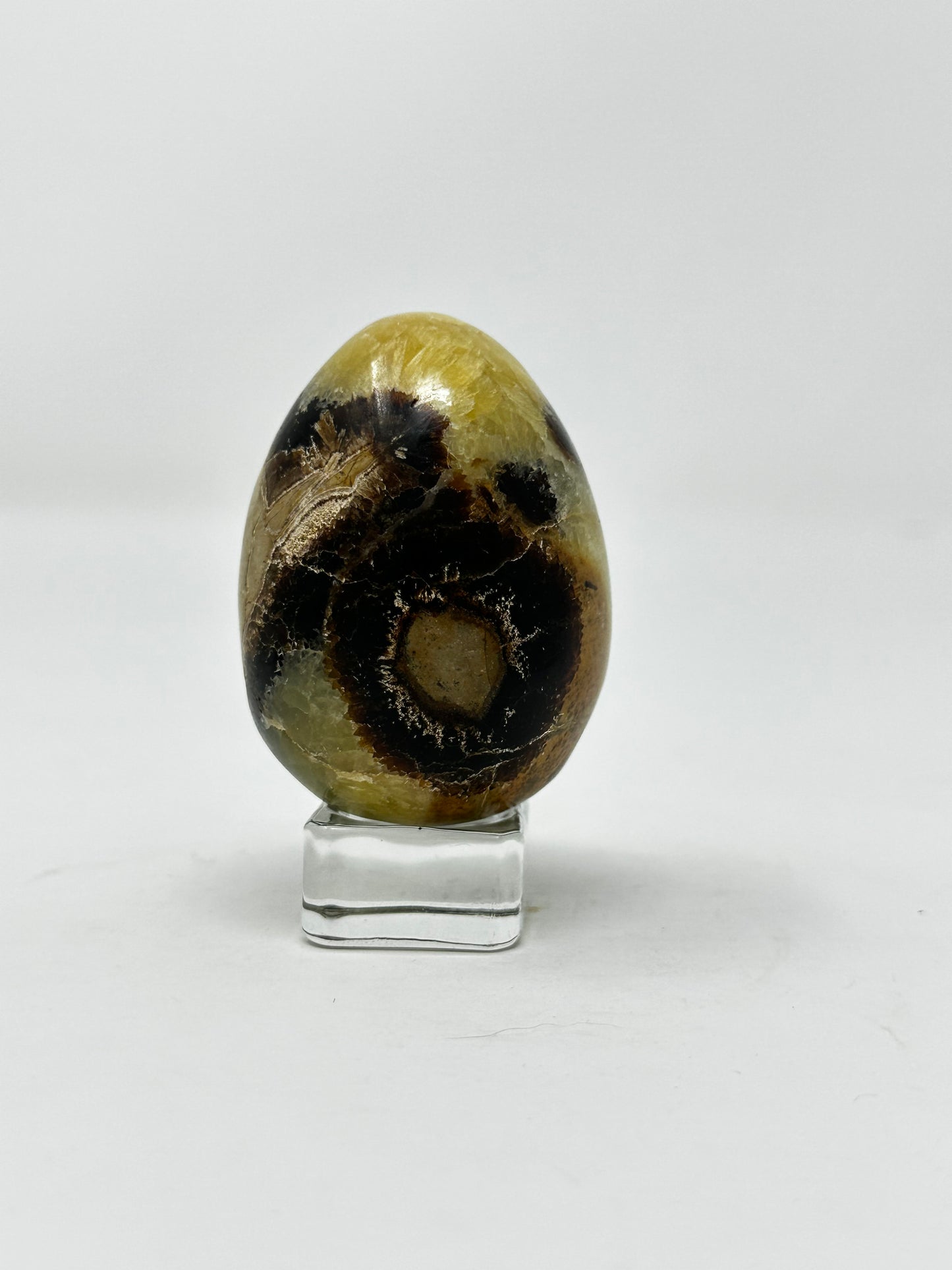 Septarian Egg