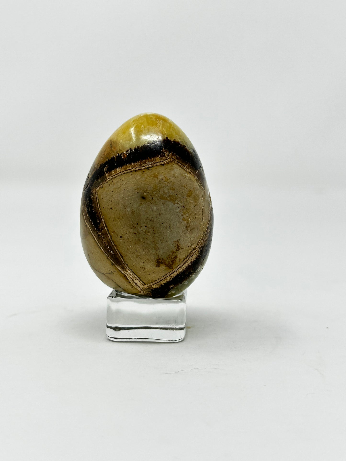 Septarian Egg