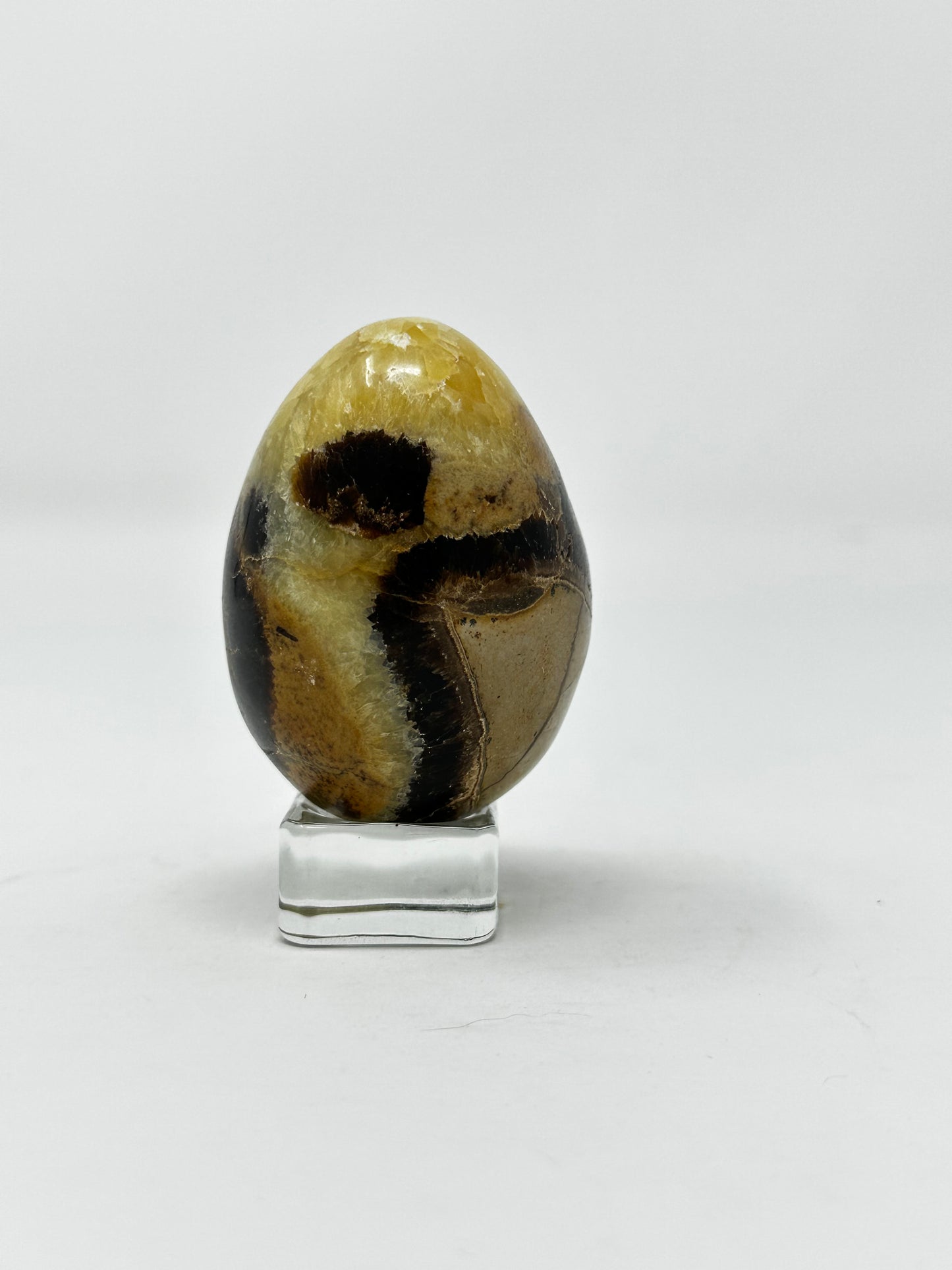 Septarian Egg