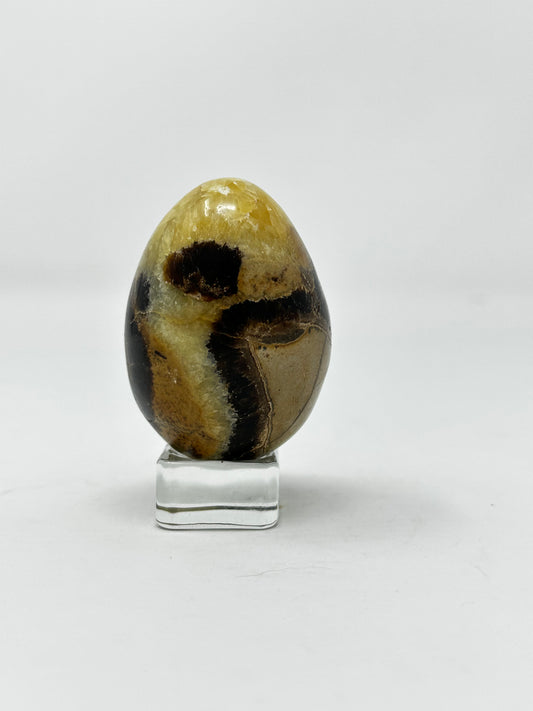 Septarian Egg