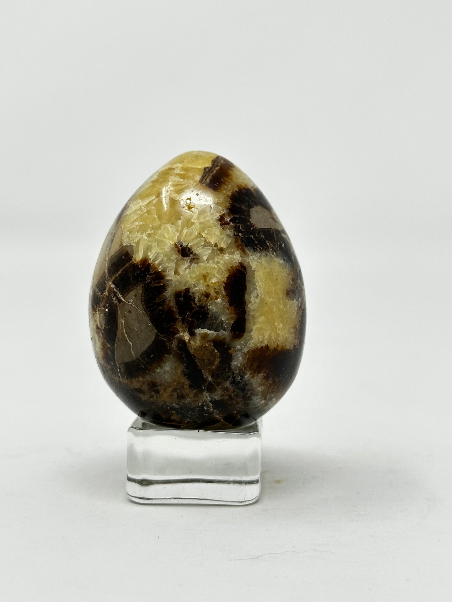 Septarian Egg