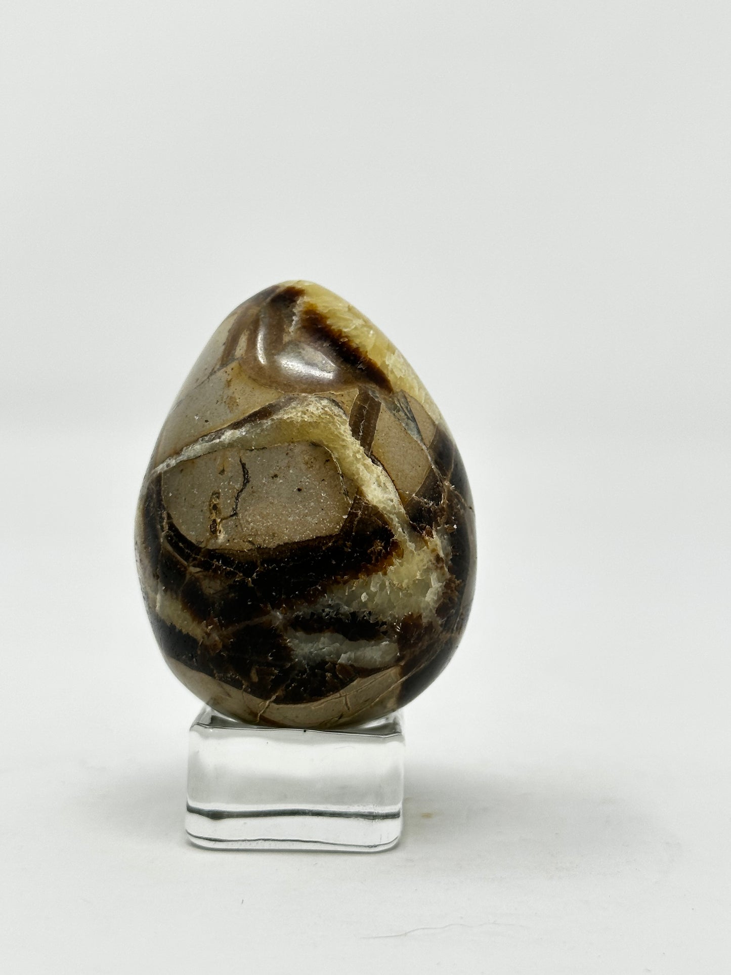 Septarian Egg