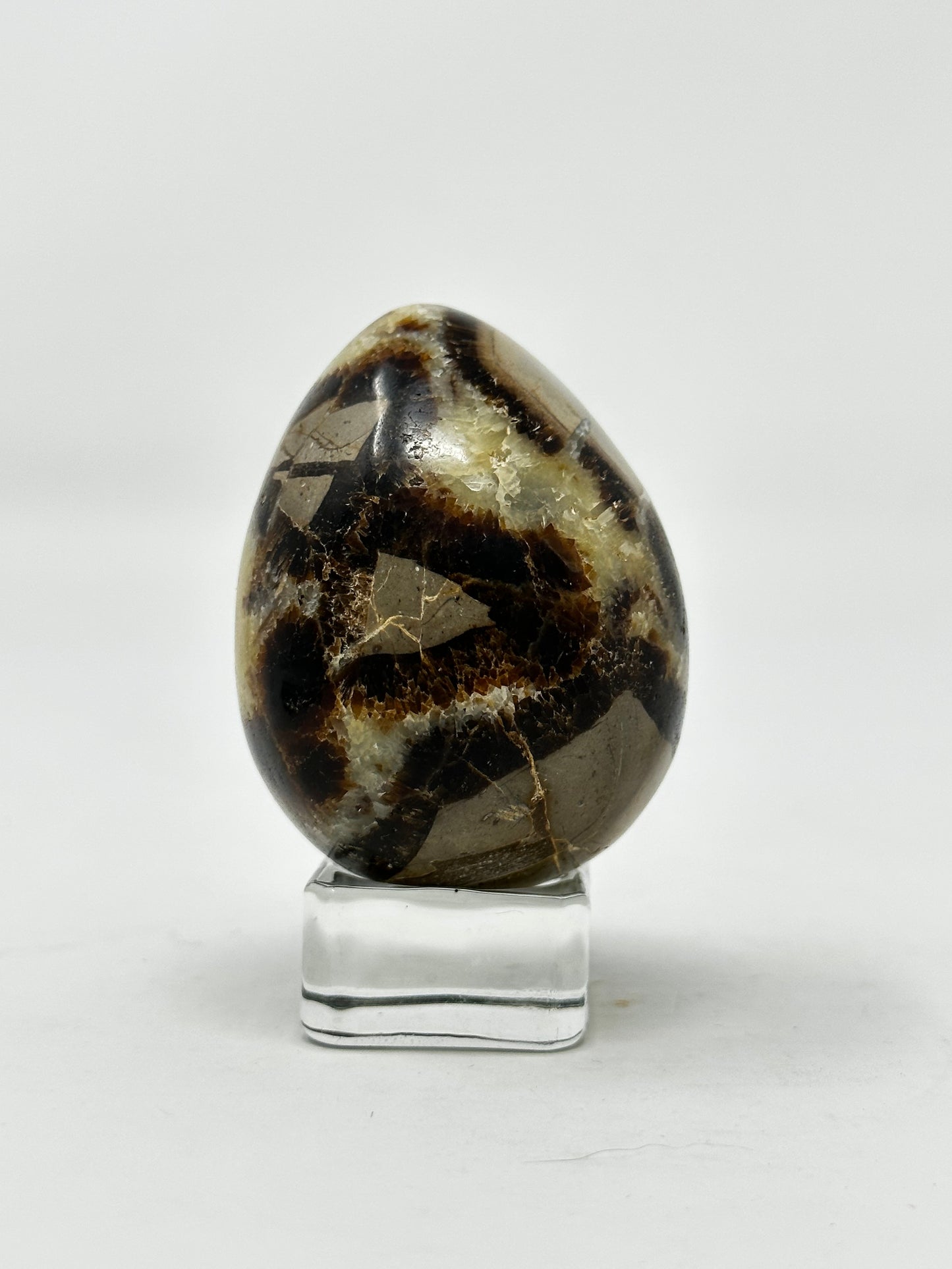 Septarian Egg