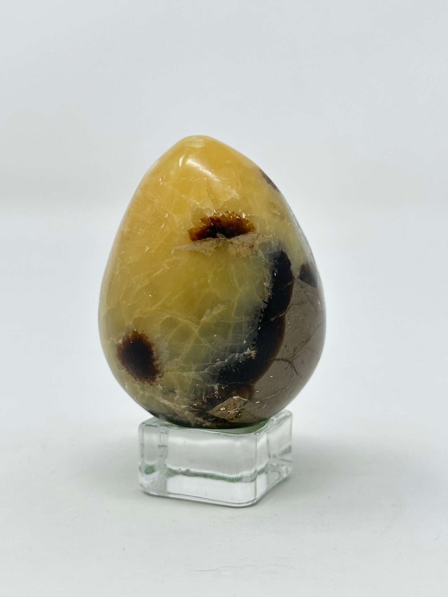 Septarian Egg