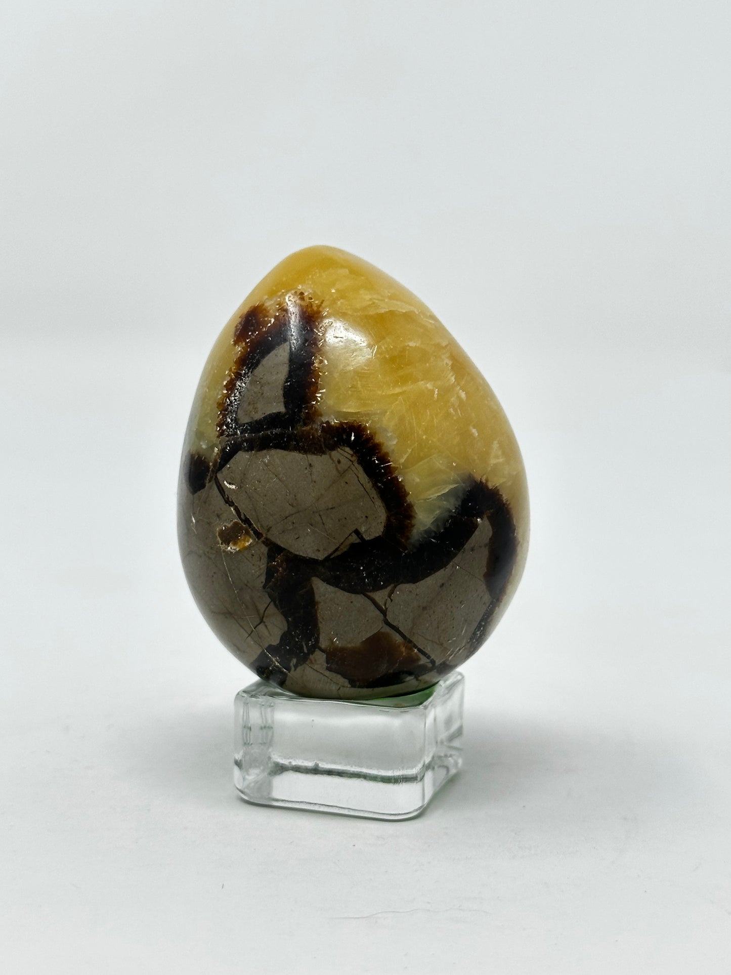 Septarian Egg