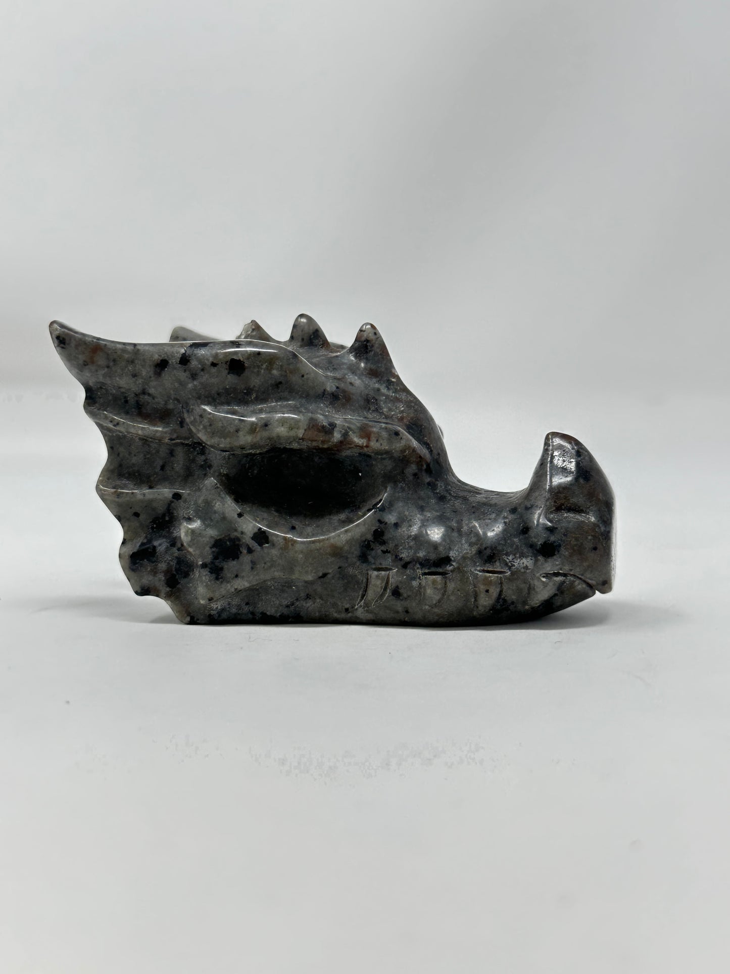 Yooperlite Dragon Head