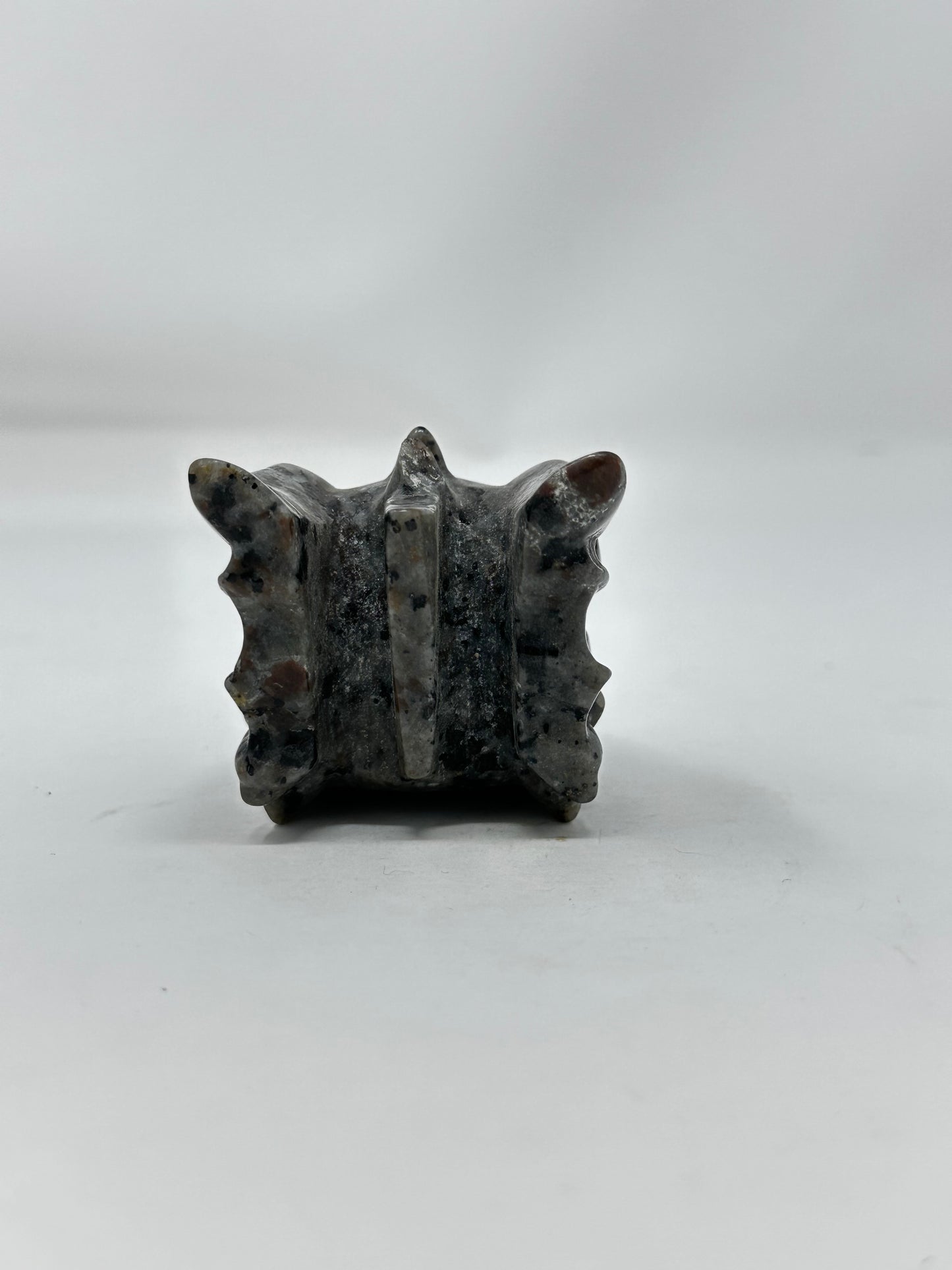 Yooperlite Dragon Head