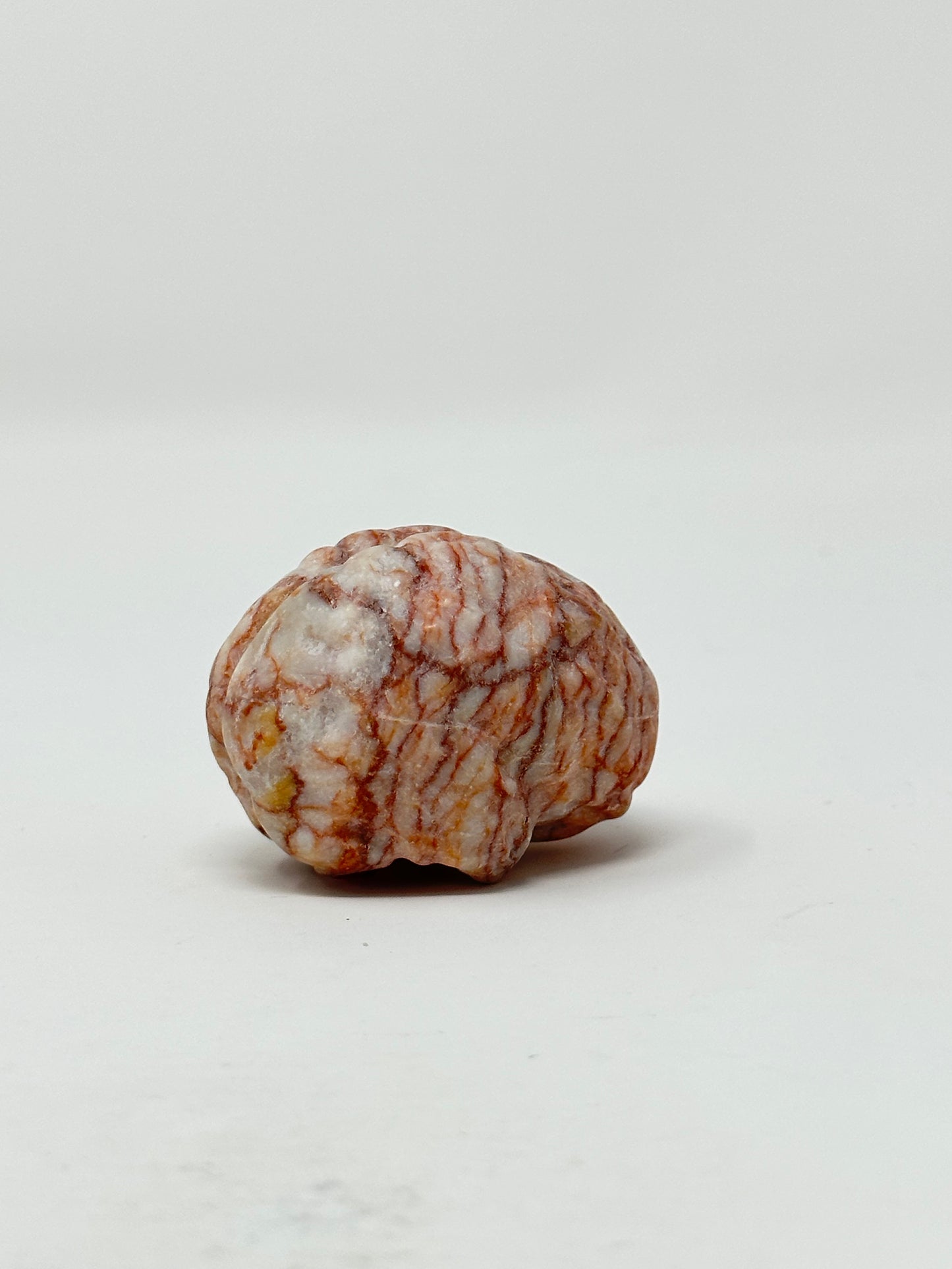 Red Vein Jasper Brain