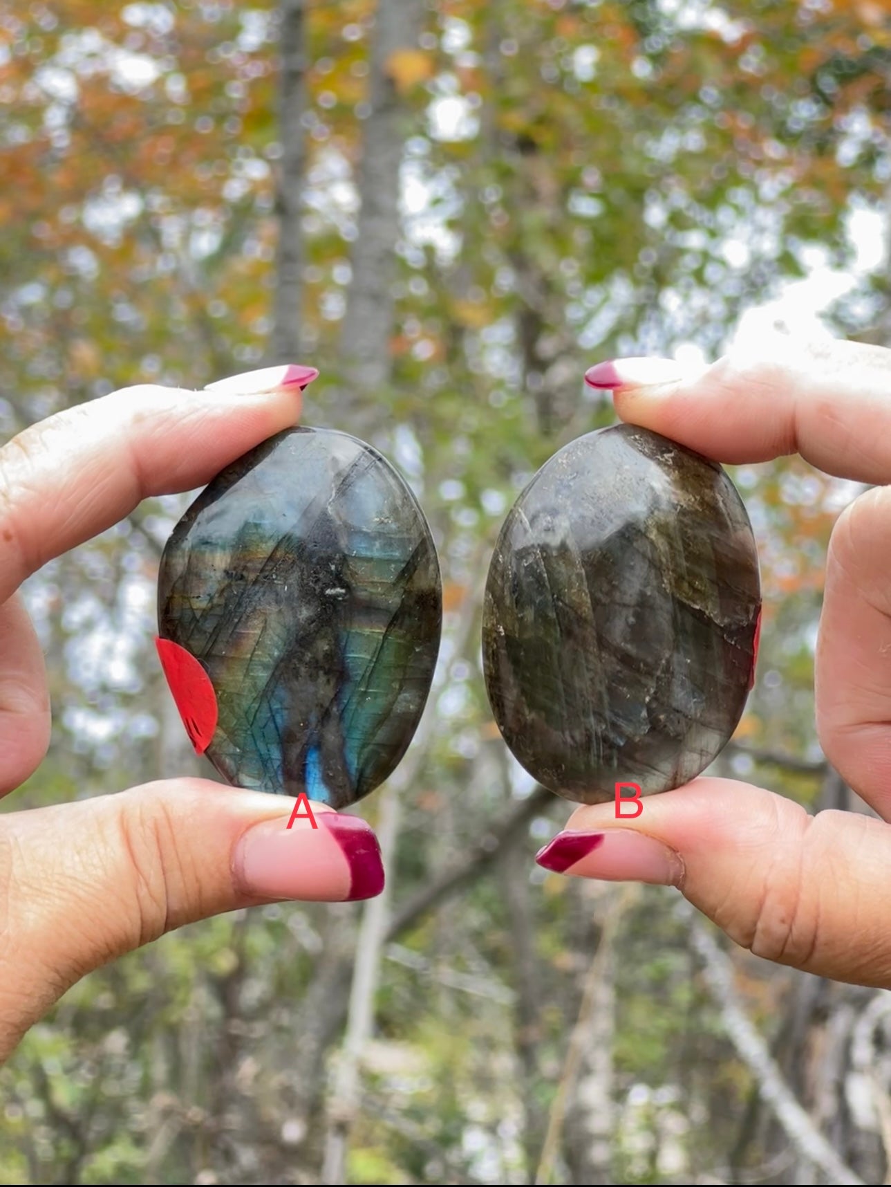 Labradorite Palm Stones