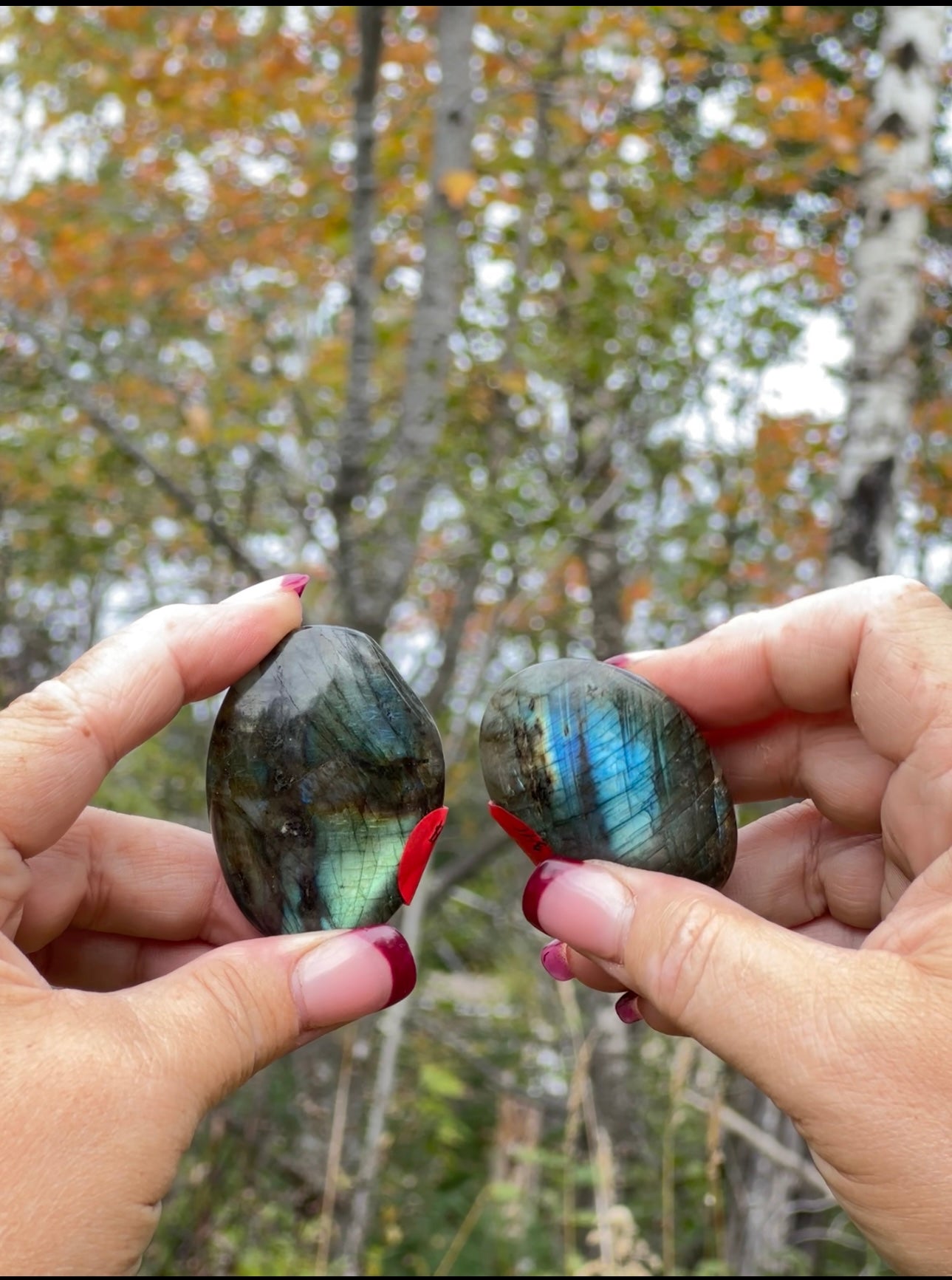 Labradorite Palm Stones