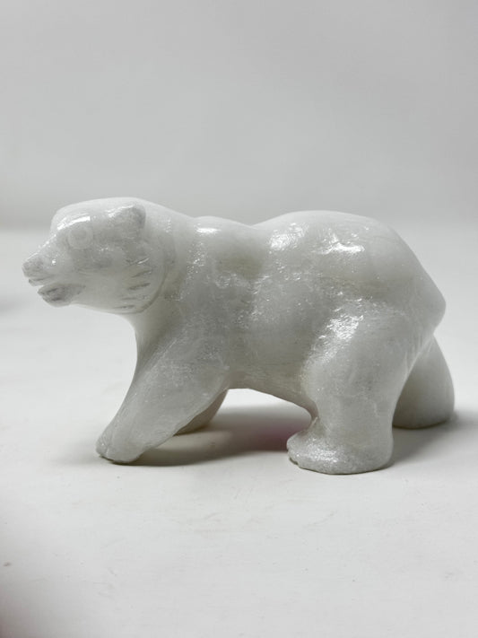 Polar Bear