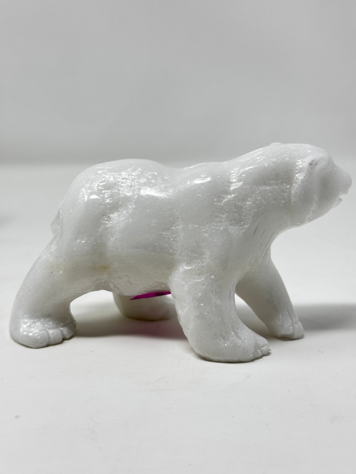 Polar Bear