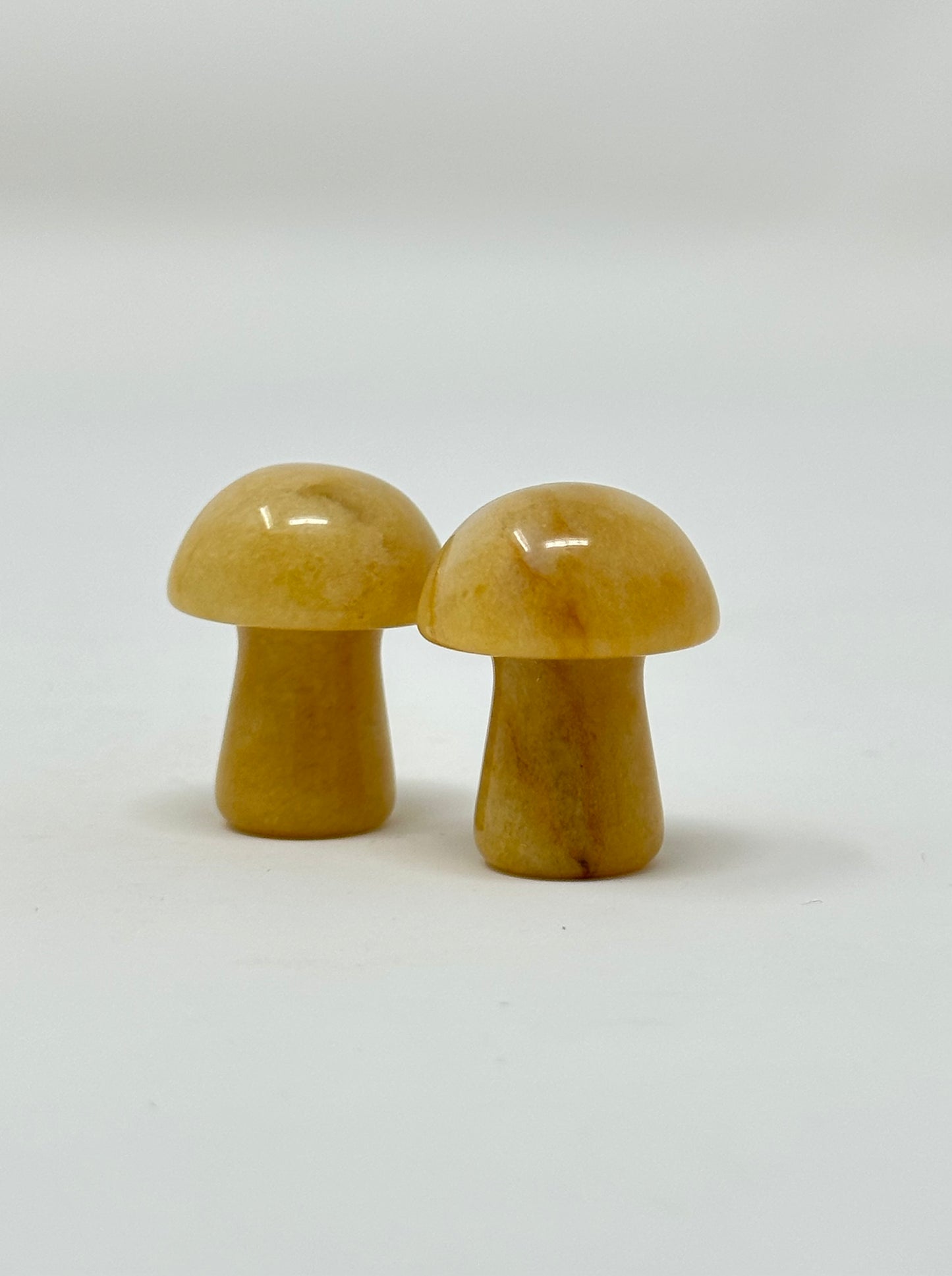 Yellow Jasper Mushroom