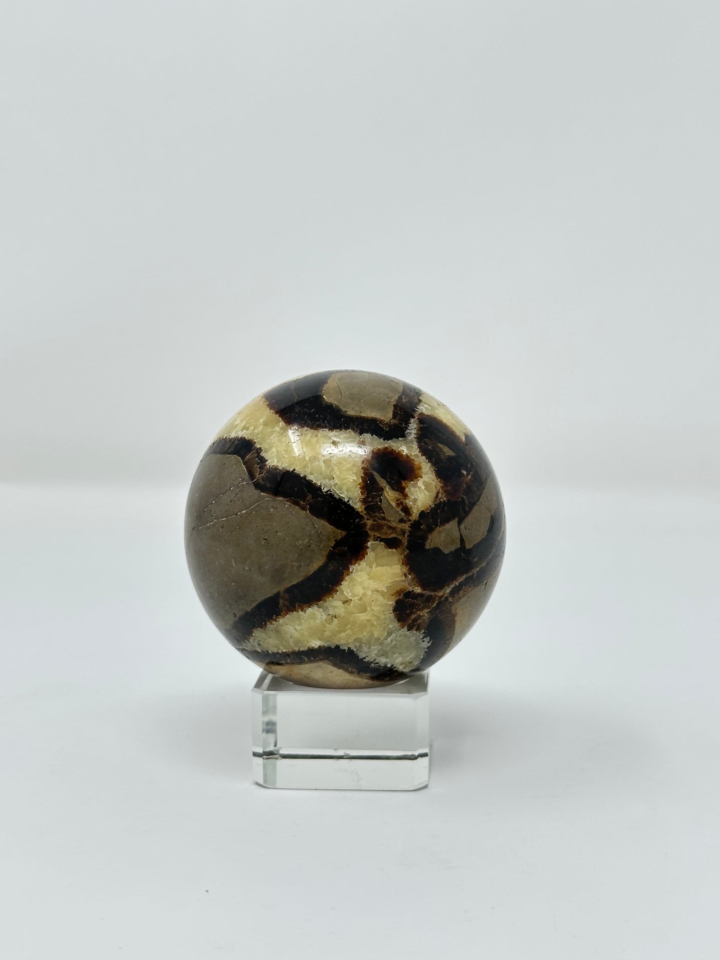 Septarian Sphere