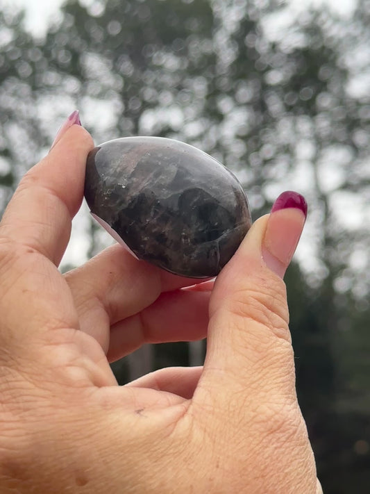 Black Moonstone Palm Stones