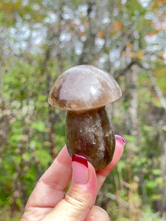 Smokey Quartz Mushroom