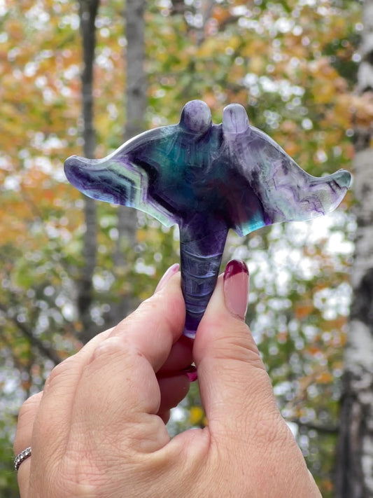 Rainbow Fluorite Stingray